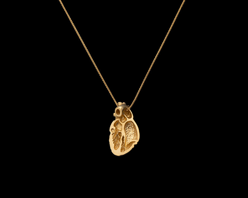 14ky Gold Anatomical Half Heart Necklace