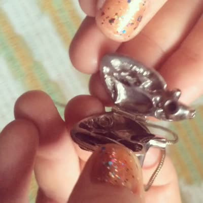 Mechenisms of the Heart