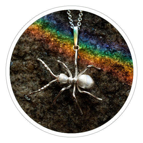 Ants