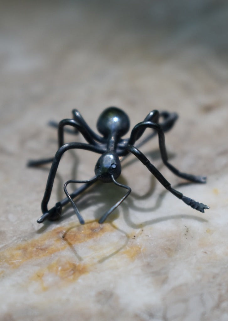 black silver ant pin with black diamond eyes, hand crafted brooch, pin by Peggy Skemp 2024