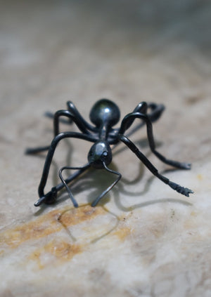 black silver ant pin with black diamond eyes, hand crafted brooch, pin by Peggy Skemp 2024