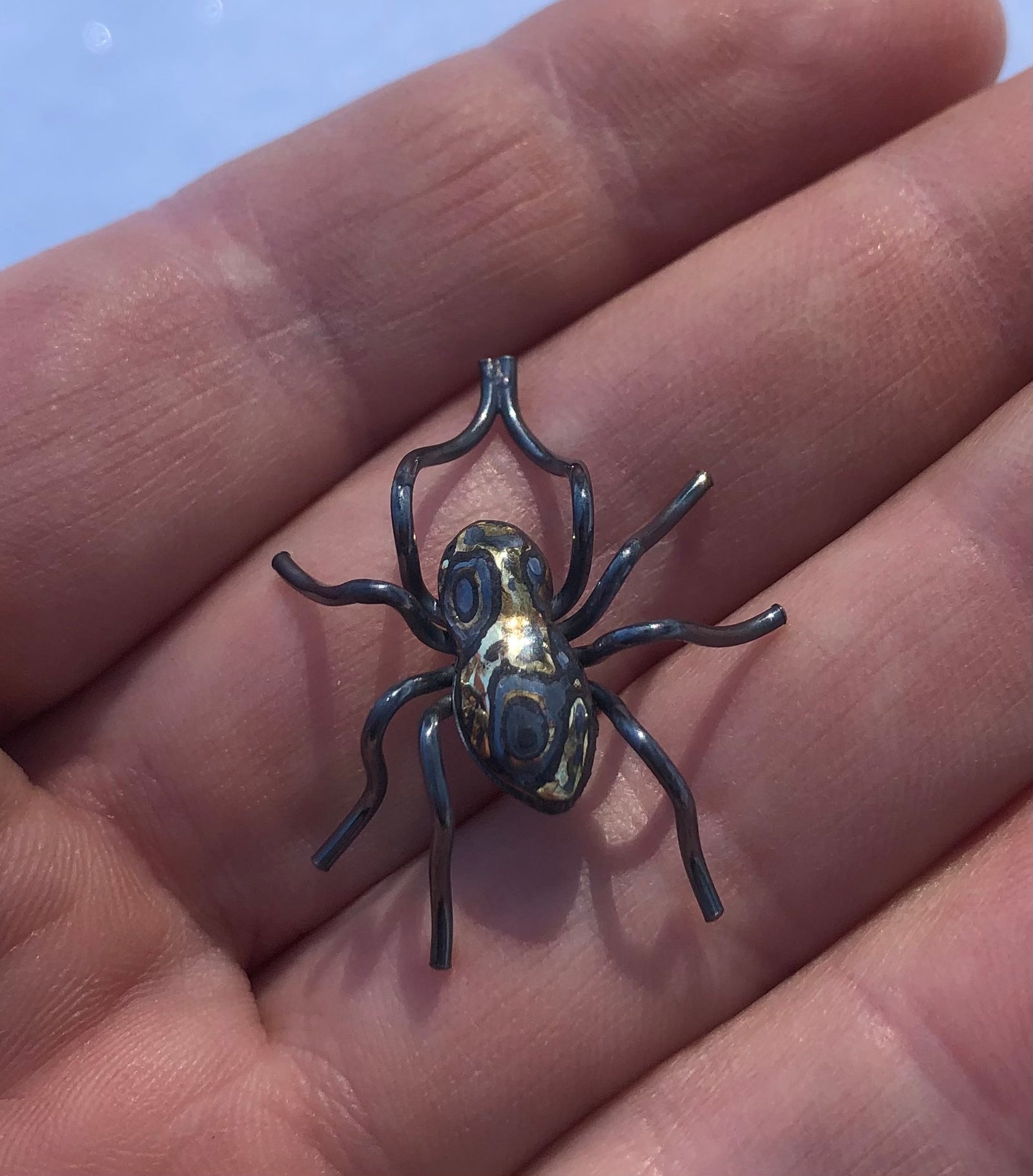 Bold Jumping Spider 1