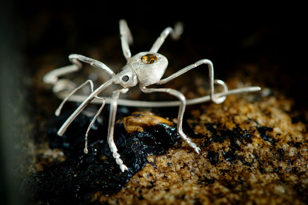silver hand engraved weevil brooch by Peggy Skemp