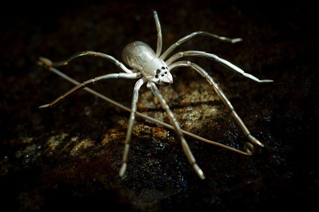 close up of silver spider with black diamond eyes