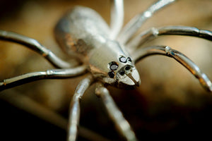 Sterling silver spider brooch with black diamond eyes.
