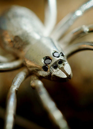 close up of silver spider with black diamond eyes