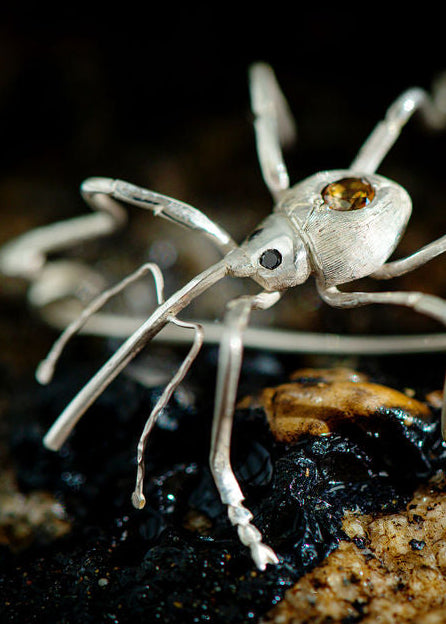 silver hand engraved weevil brooch by Peggy Skemp