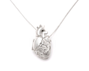 Polished silver Anatomical Heart Locket by Peggy Skemp, Open Heart, Medical jewelry, scientific illustration, cardiac, medical gift, cardiac anatomy, cardiology