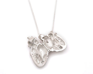 open, internal detail of heart anatomy in Polished silver, Anatomical Heart Locket by Peggy Skemp, Open Heart, Medical jewelry, scientific illustration, cardiac, medical gift, cardiac anatomy, cardiology