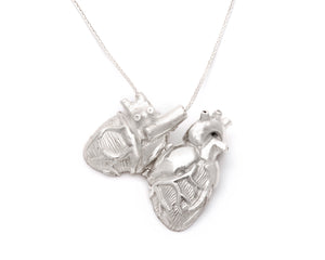 open, external detail of heart anatomy in Polished silver, Anatomical Heart Locket by Peggy Skemp, Open Heart, Medical jewelry, scientific illustration, cardiac, medical gift, cardiac anatomy, cardiology