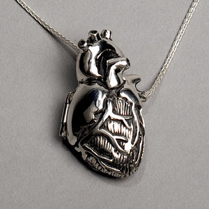 Anatomical Heart Locket by Peggy Skemp, Open Heart, Medical jewelry, scientific illustration, cardiac, medical gift, cardiac anatomy, cardiology