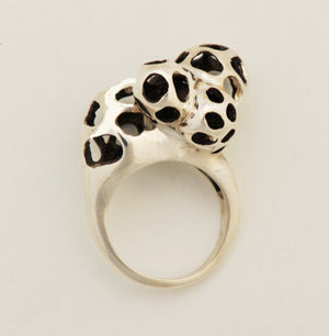 Lattice Cluster Ring