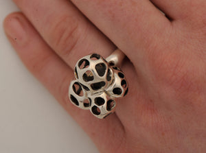 Lattice Cluster Ring