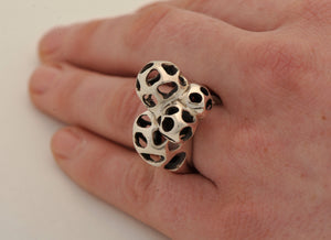 Lattice Cluster Ring