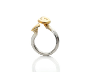 Oyster Mushroom Ring
