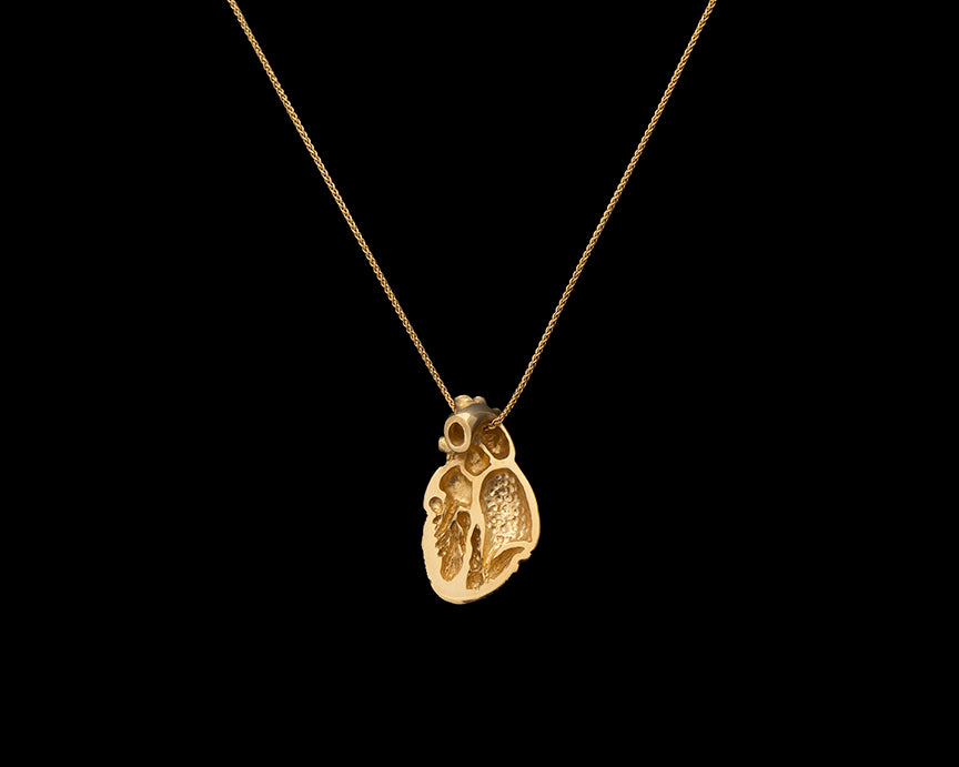 Gemshine ANATOMISCHES HERZ - Halskette - Gold-coloured/goldfarben