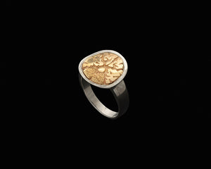 brain ring with 14ky gold cross section, hand engraved, anatomical brain, anatomical jewelry, peggy skemp jewelry, signet ring, flat ring, scientific illustration, medical jewelry