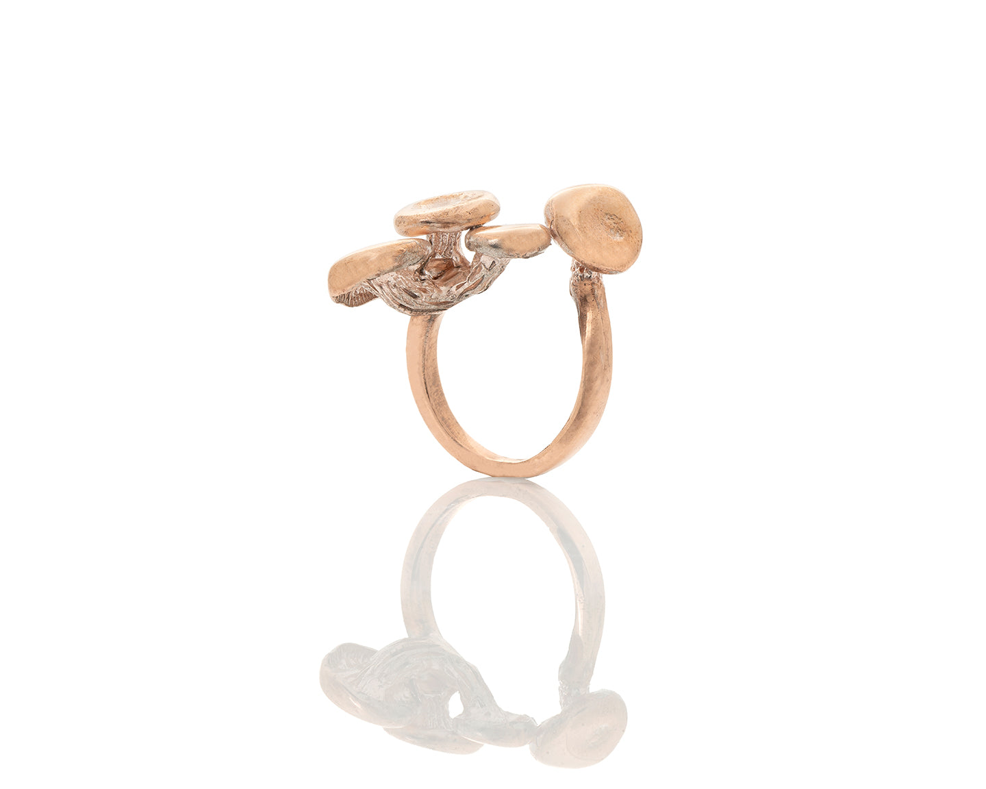 Oyster Fungi Ring 4