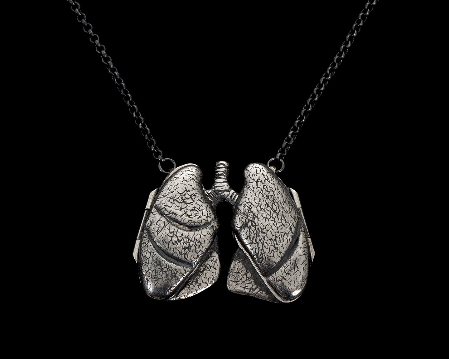 Anatomical, anatomy, lung locket, open lungs, peggy skemp jewelry, silver lungs, bronchial, anatomy, medicine, medical jewelry, scientific illustration, peggy skemp jewelry