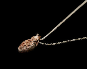 Front/side view of tiny anatomical heart necklace by Peggy Skemp