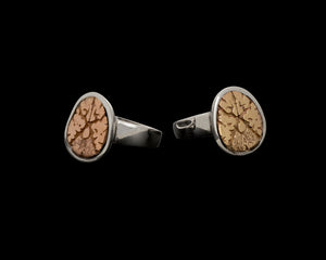 Anatomical Brain Cross Section Ring