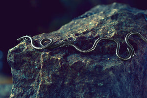 Nightcrawlers Collar