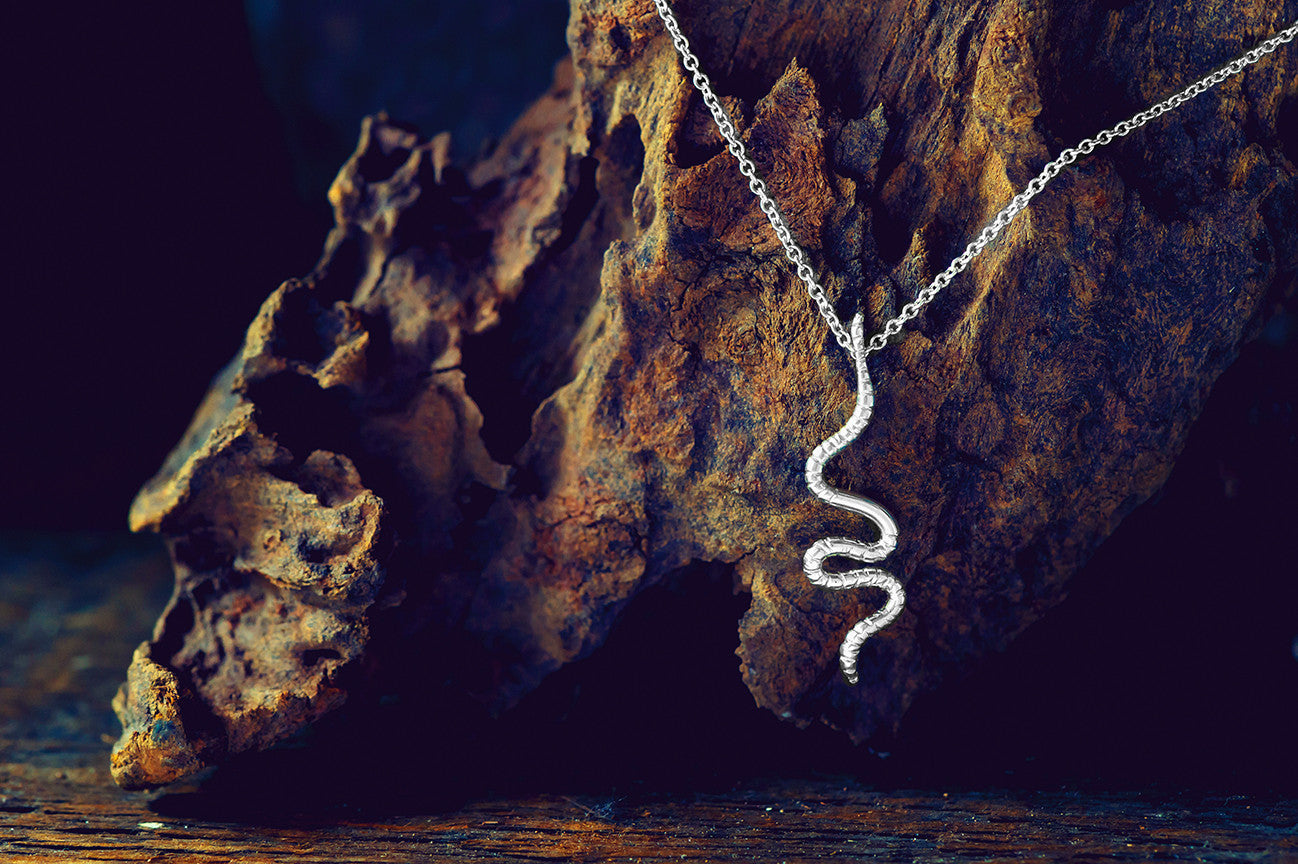 worms, earthworm, worm jewelry, lumbinus, worm necklace, peggy skemp jewelry, rachel hanel photography