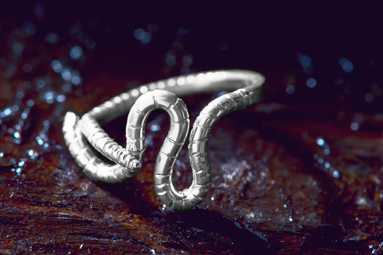 worm ring, worms, earthworm, worm jewelry, peggy skemp jewelry, peggy skemp, rachel hanel photography