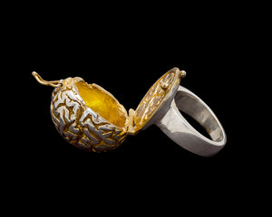 Gilded Brain Ring