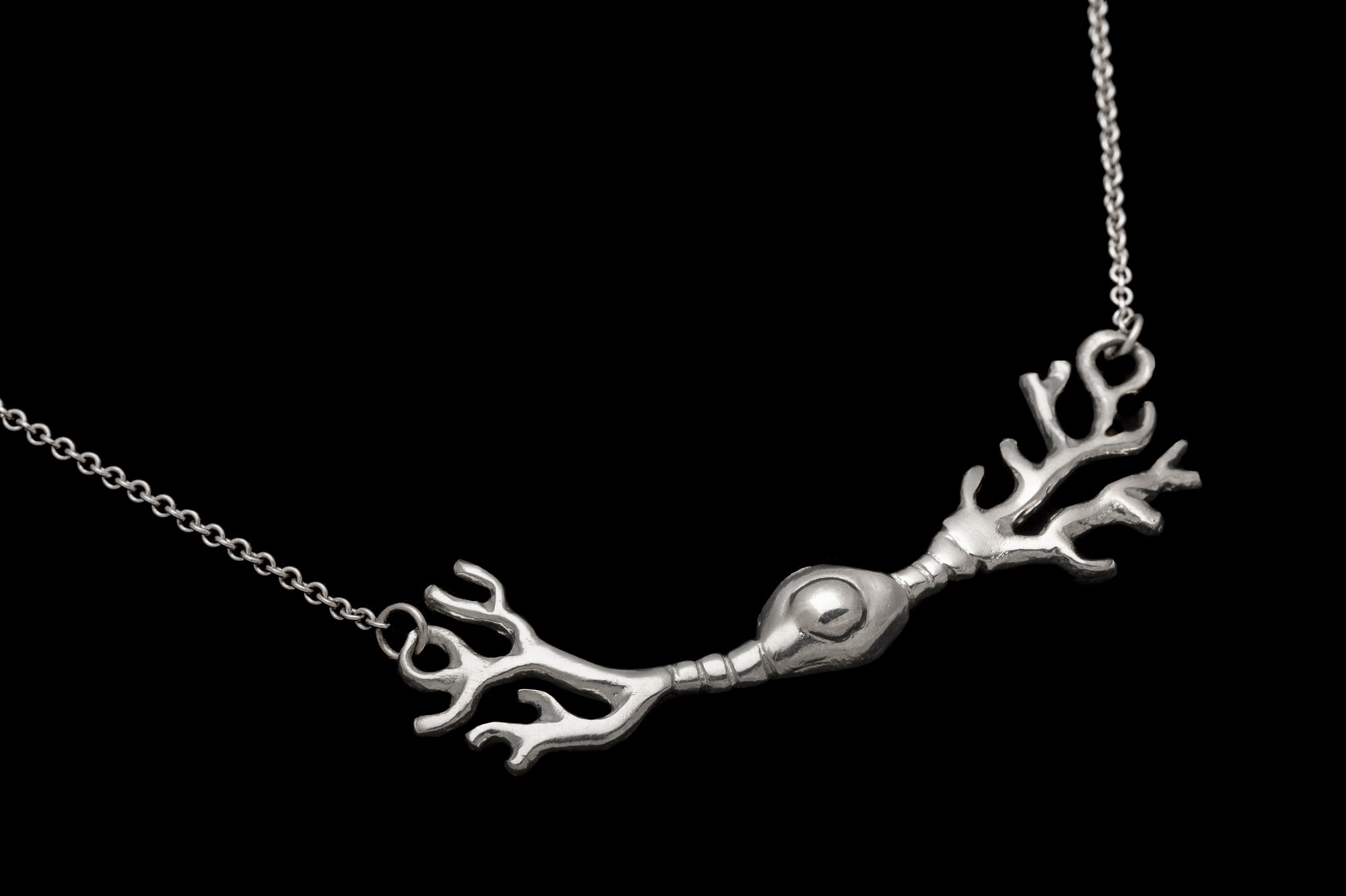 Retinal Neuron
