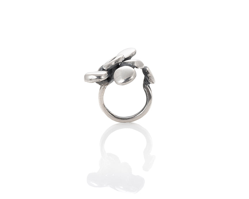 Oyster Fungi Ring 6