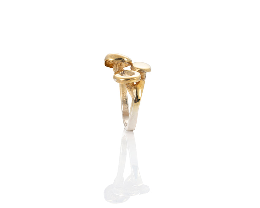 Oyster Fungi Ring 4