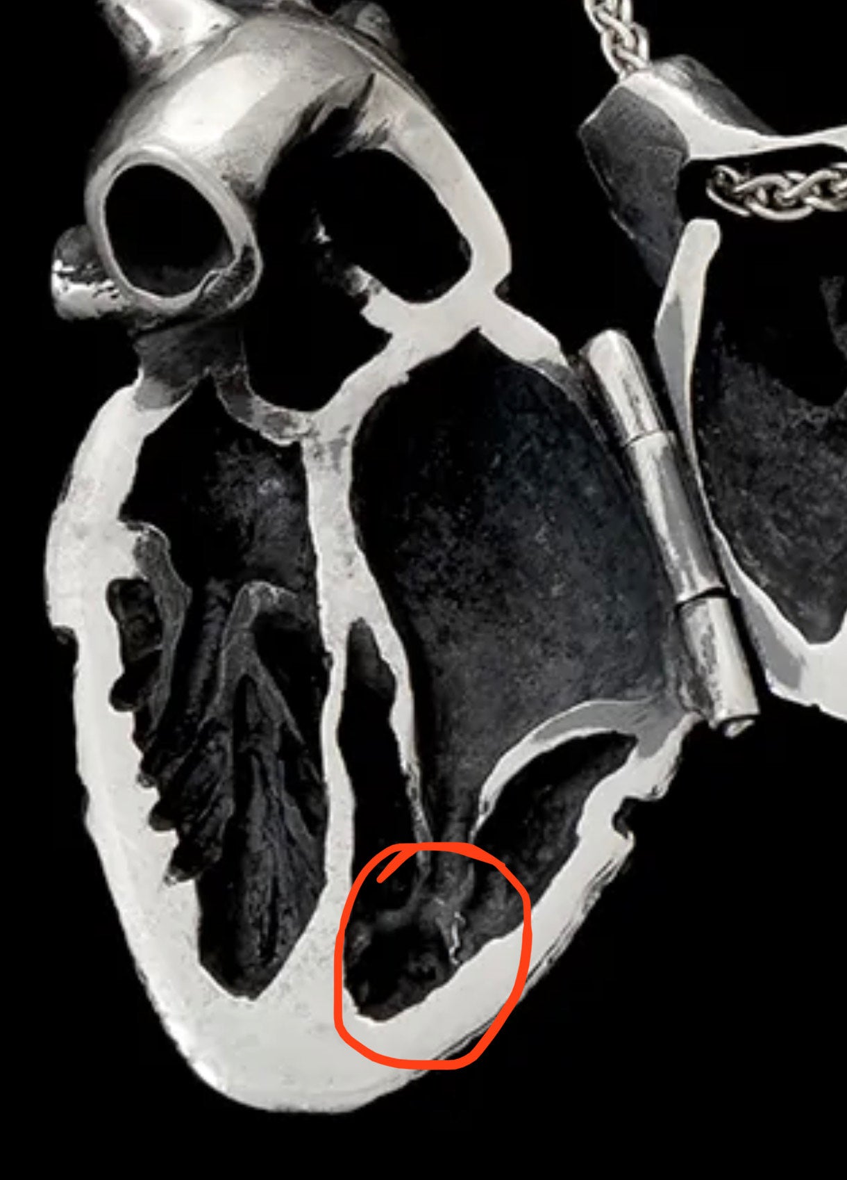 Custom Anatomical Heart Locket for Charlie